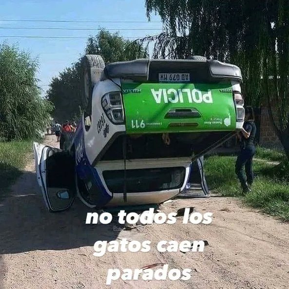 DMush (@dmushtv) on Twitter photo 