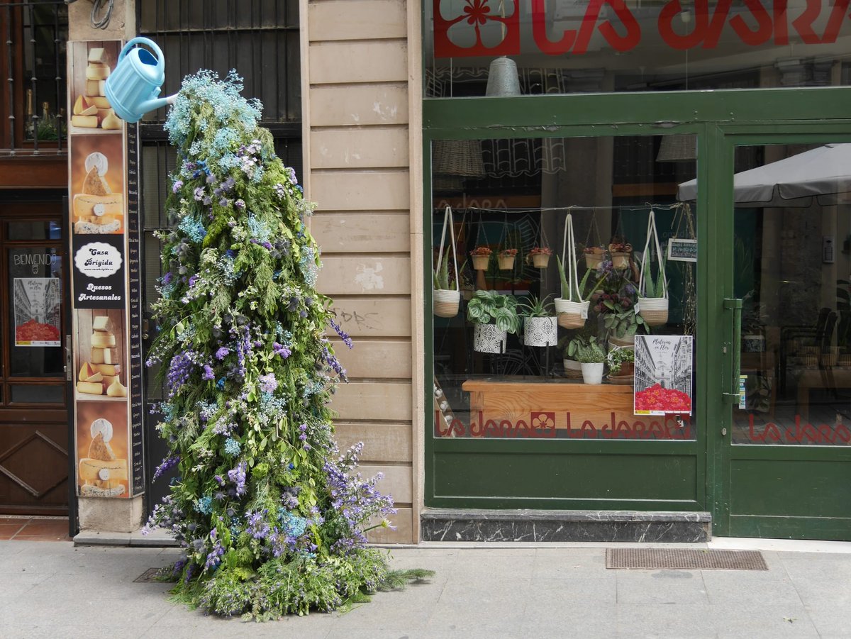 Y en medio de tantas malas noticias, un poco de color de #Valladolid, donde la colaboración entre <a href="/AyuntamientoVLL/">Ayto. de Valladolid</a> y <a href="/Avadeco_/">Avadeco_</a> deja cosas preciosas.

📸 L. Valdeolmillos