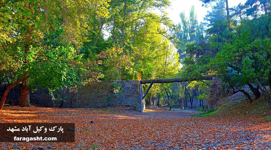 وکیل آباد مشهد
#IranInReality