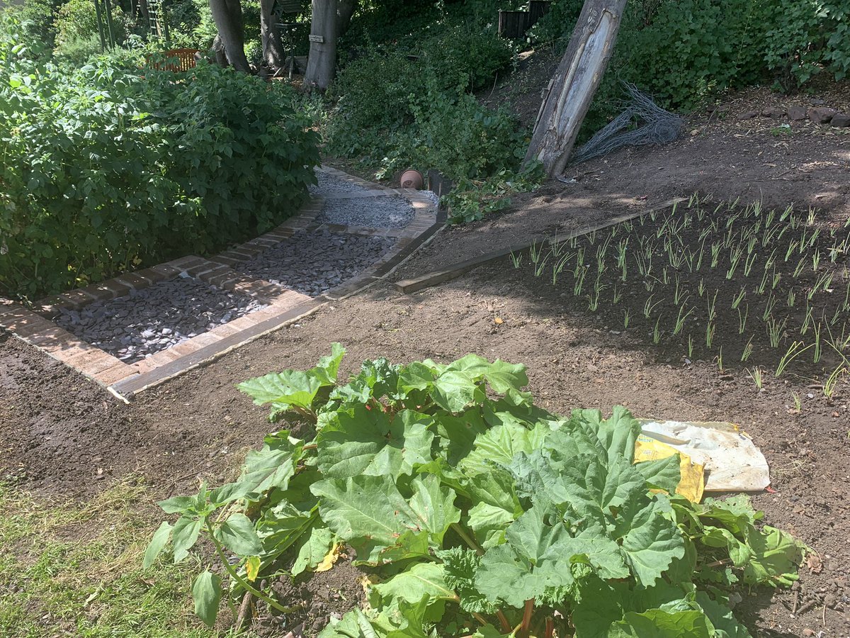 NESTONCYC's tweet photo. Our #GardenRevolution continued this week as paths were completed, raspberries fruited and onions were planted. Well done team #community #CH64 https://t.co/7z62kkniD4