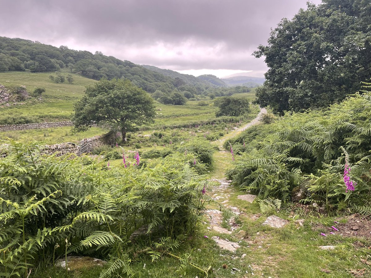 Ange412's tweet photo. Back in snowdonia.. this place always blows my mind … so beautiful #snowdonia #blaenauffestiniog https://t.co/sr9YtpAboG
