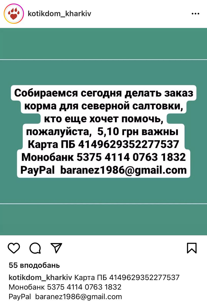 ‼️‼️‼️‼️ПОШИРТЕ‼️‼️‼️‼️‼️