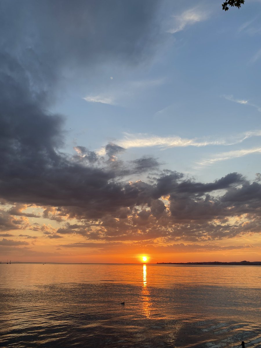 Claudio Tedeschi (@claudiotedeschi) on Twitter photo 