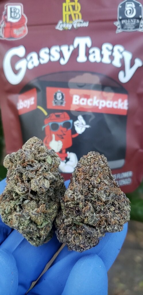 Gassy Taffy #GassyTaffy #TheBackpackBoyz
