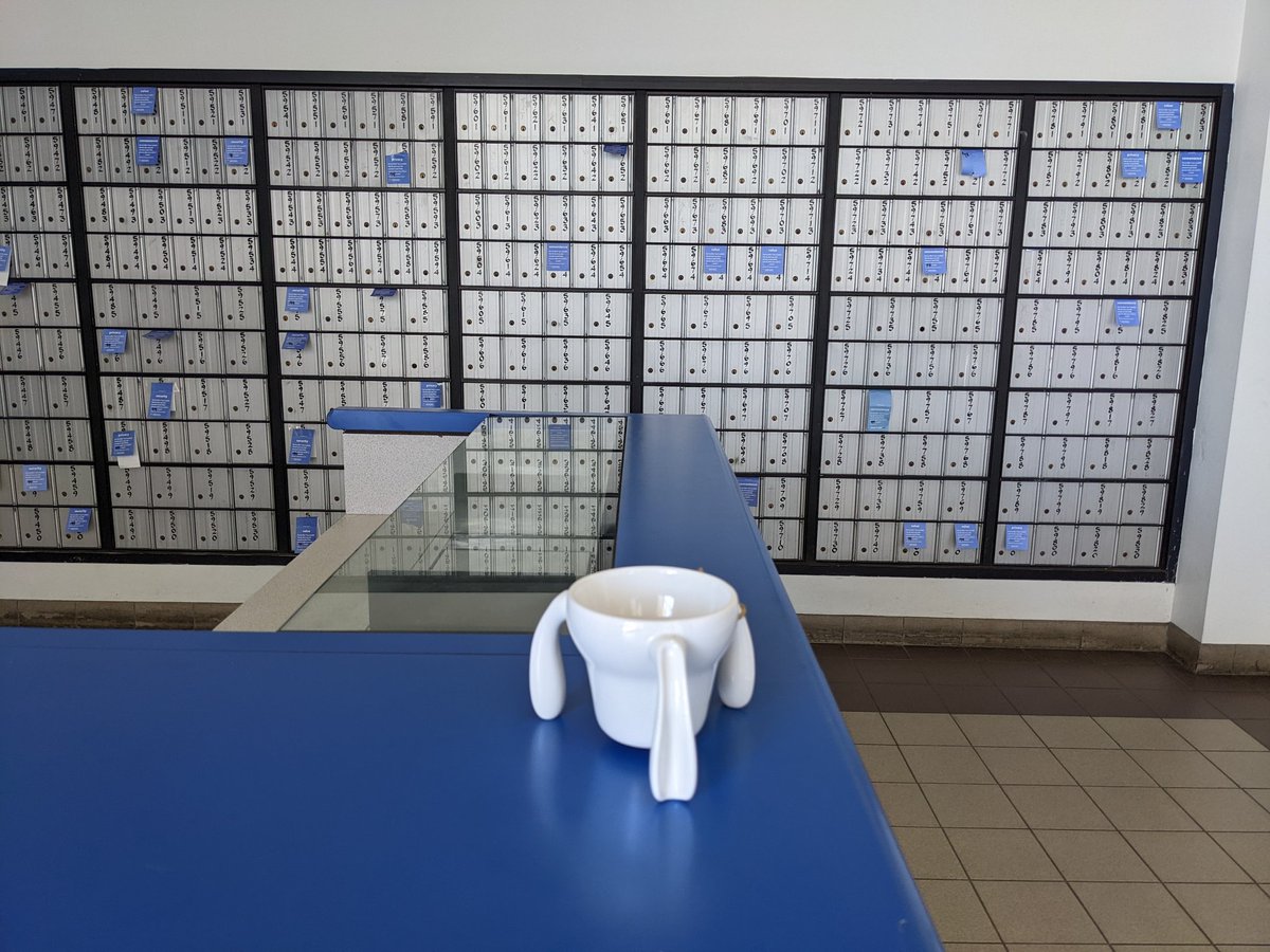 Kangaroo Cups tweet media