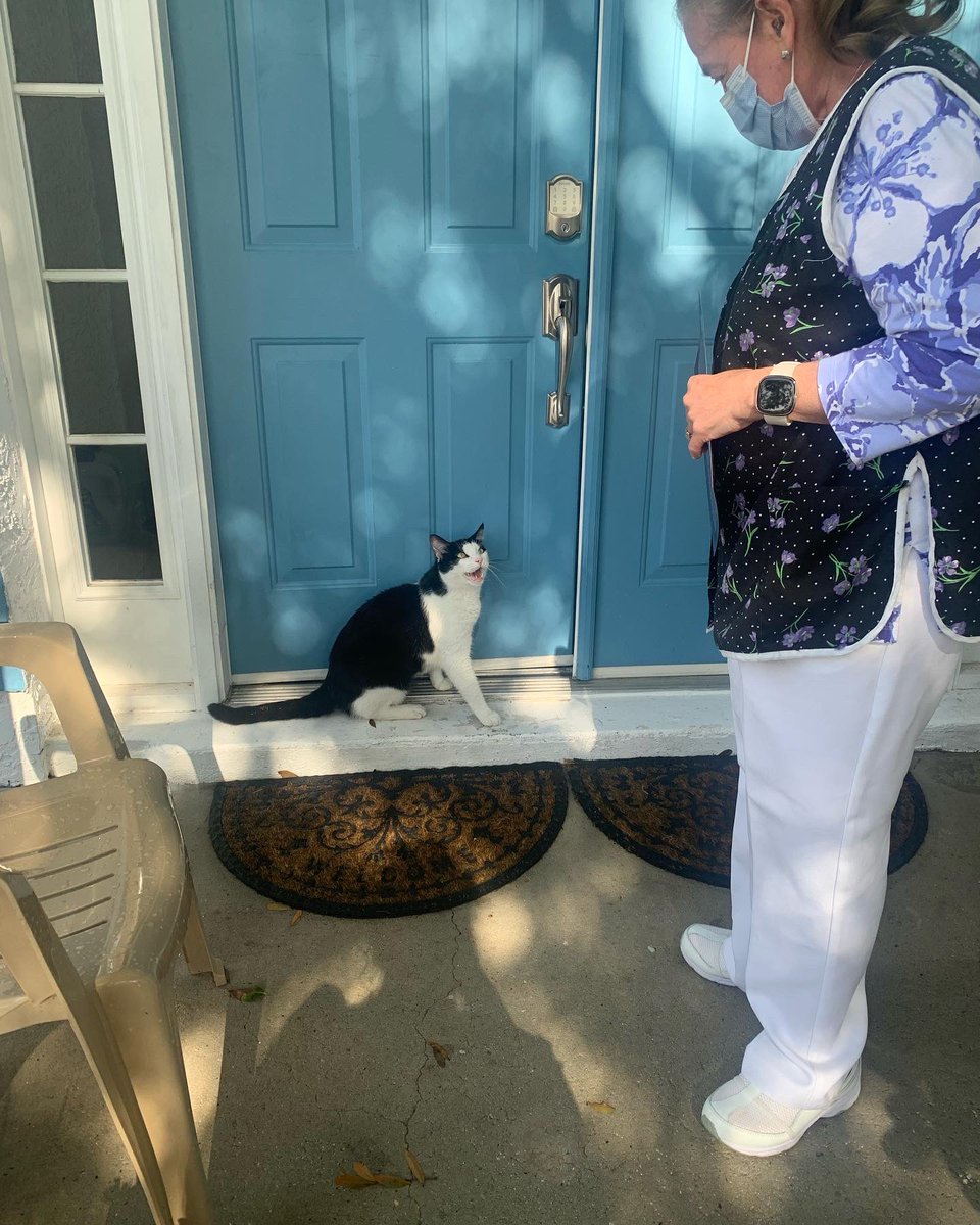 RitaForFlorida's tweet photo. Meeting some of the four-legged constituents of District 44!
#TeamRita
#fldems
#flapol
#catsofcanvassing
#dogsofdoorknocking https://t.co/TFqbYn3Hpg