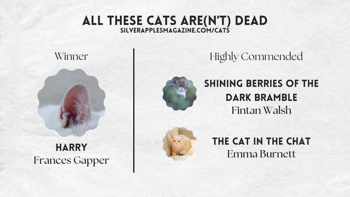 silverapplesmag's tweet photo. All of these submissions were 😻 &amp; while many of these cats were dead, the appreciation of their prowess and betterment of our lives is very much alive. 

Congratulations to @biddablesheep, @FintanWalsh &amp; @slashnburnett.

Read their #flash stories @ https://t.co/hCae300VxA https://t.co/H9KYEnz4AL