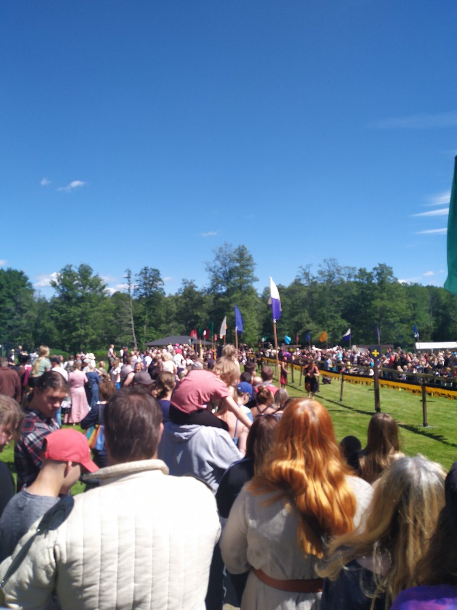 Real_Daipanda's tweet photo. Local medieval faire thing happened. It was cool. #tourney #medieval #kniggits https://t.co/d3kUSrZ249