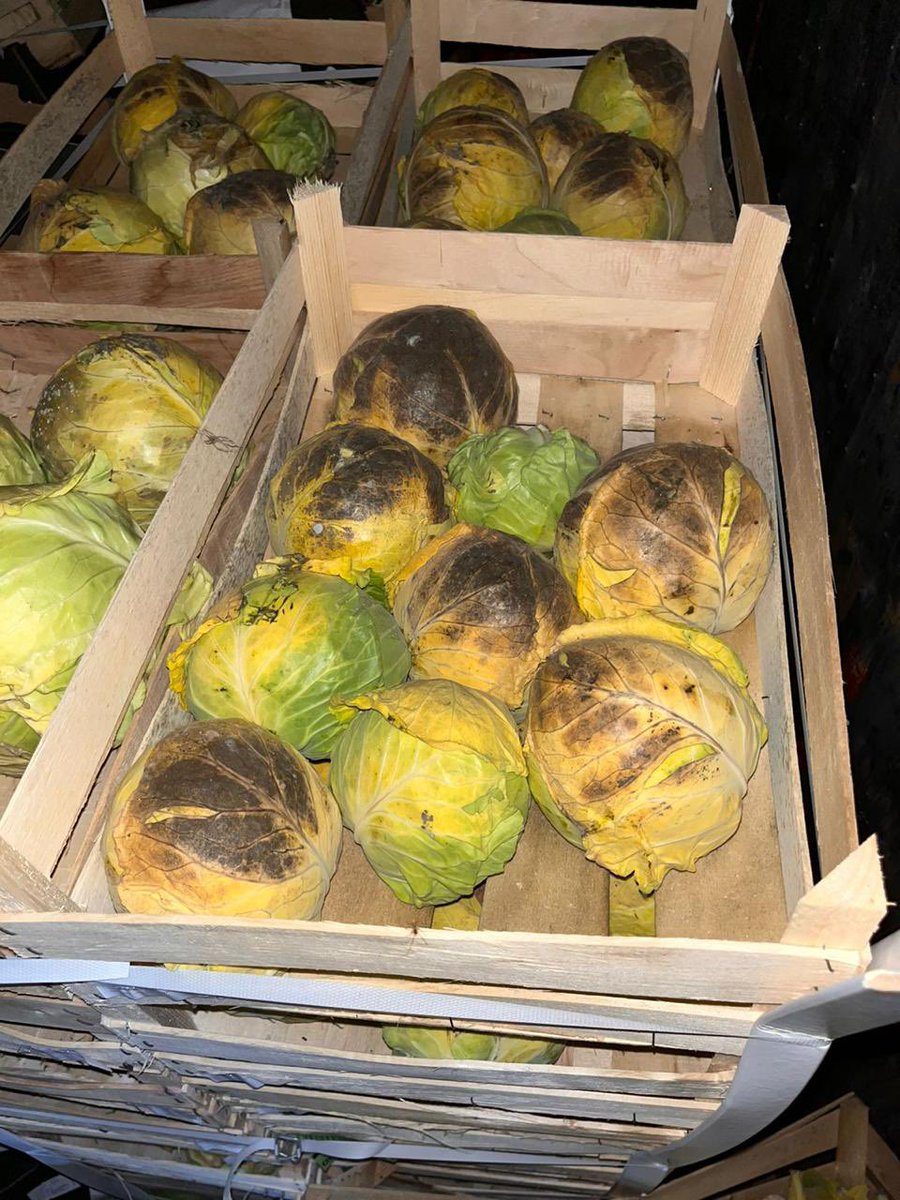 natemook's tweet photo. Crazy: the intense heat from the missile attack on the @WCKitchen food train in eastern Ukraine cooked the vegetables inside the surviving train cars. The good news is we were able to save most products from those cars! Thankful nobody was hurt—you can see how the train burned. https://t.co/JiqBAIdNQ2
