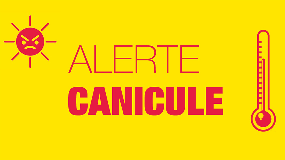 CANICULE La canicule s’est abattue dans tout le sud-ouest. Les villes de Tarbes, Pau, Biarritz et Pissos (Landes) ont battu des records absolus de chaleur ce samedi après-midi.
pyreneesinfos.fr/2022/06/alerte…
#Meteo #Chaleur #Canicule #Pyreneesinfo #Aquitaineinfo