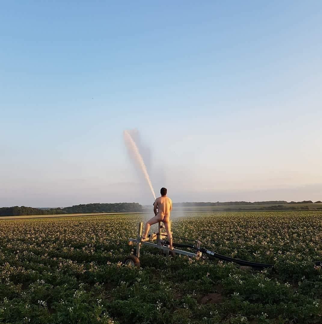 alexdudu2's tweet image. Moisson blé fini !!!! On rattaque l’irrigation !