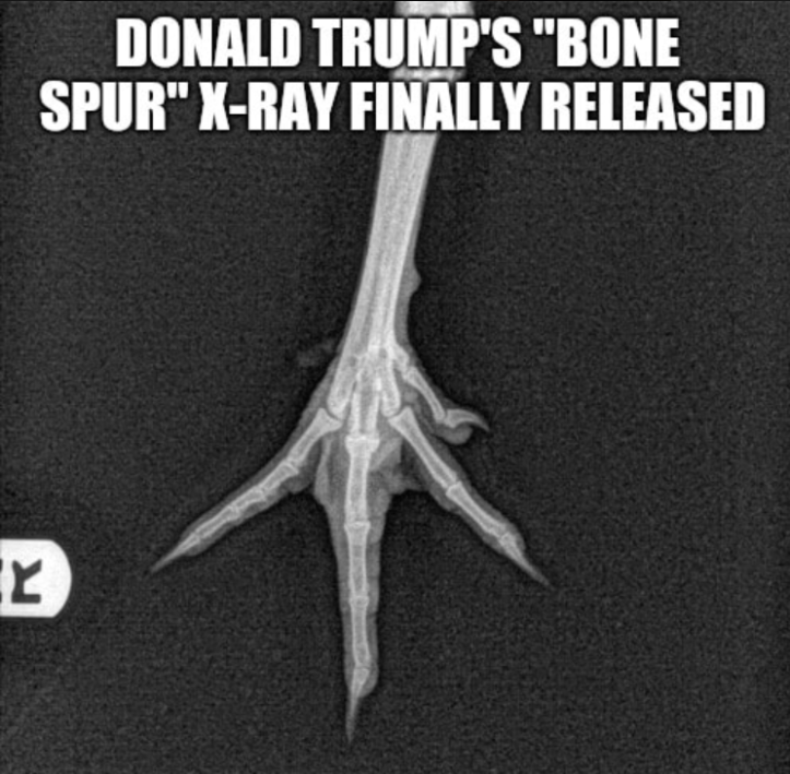 factandrumor's tweet photo. @MaryLTrump 8/ More on having to serve with Trump and Trump family members... I'm kidding. No one ever has or ever will probably... https://t.co/yBA3vfkTy3