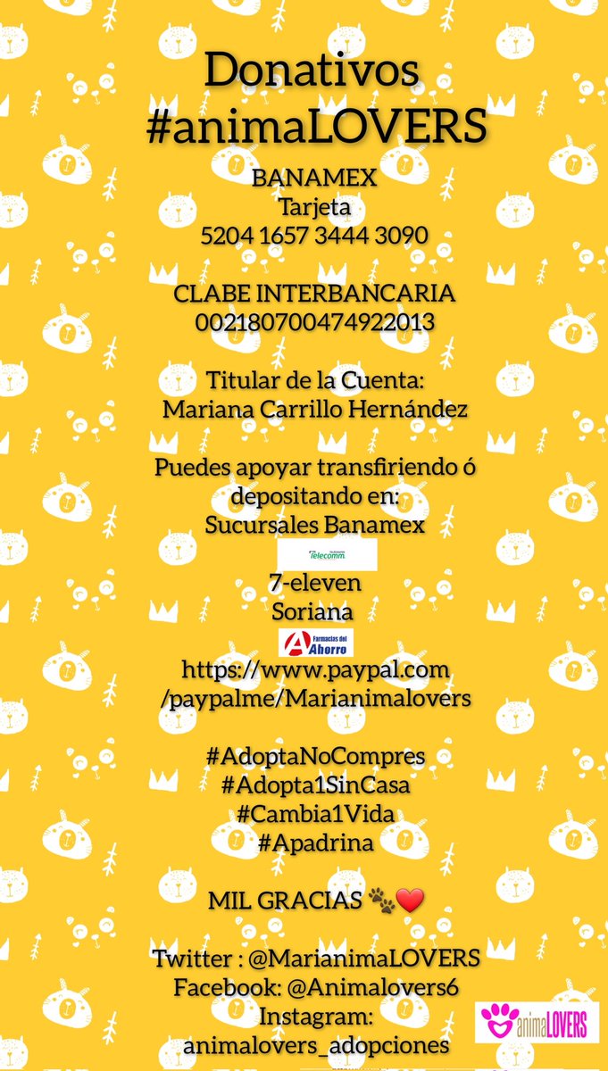 #animaLOVERS tweet media