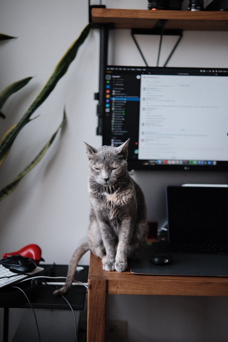 Alejandro Cuffia tweet media