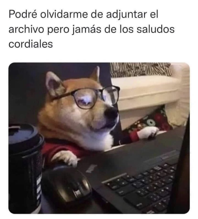 Almaitrust's tweet photo. Meme del mes https://t.co/1QaX9nzLG2