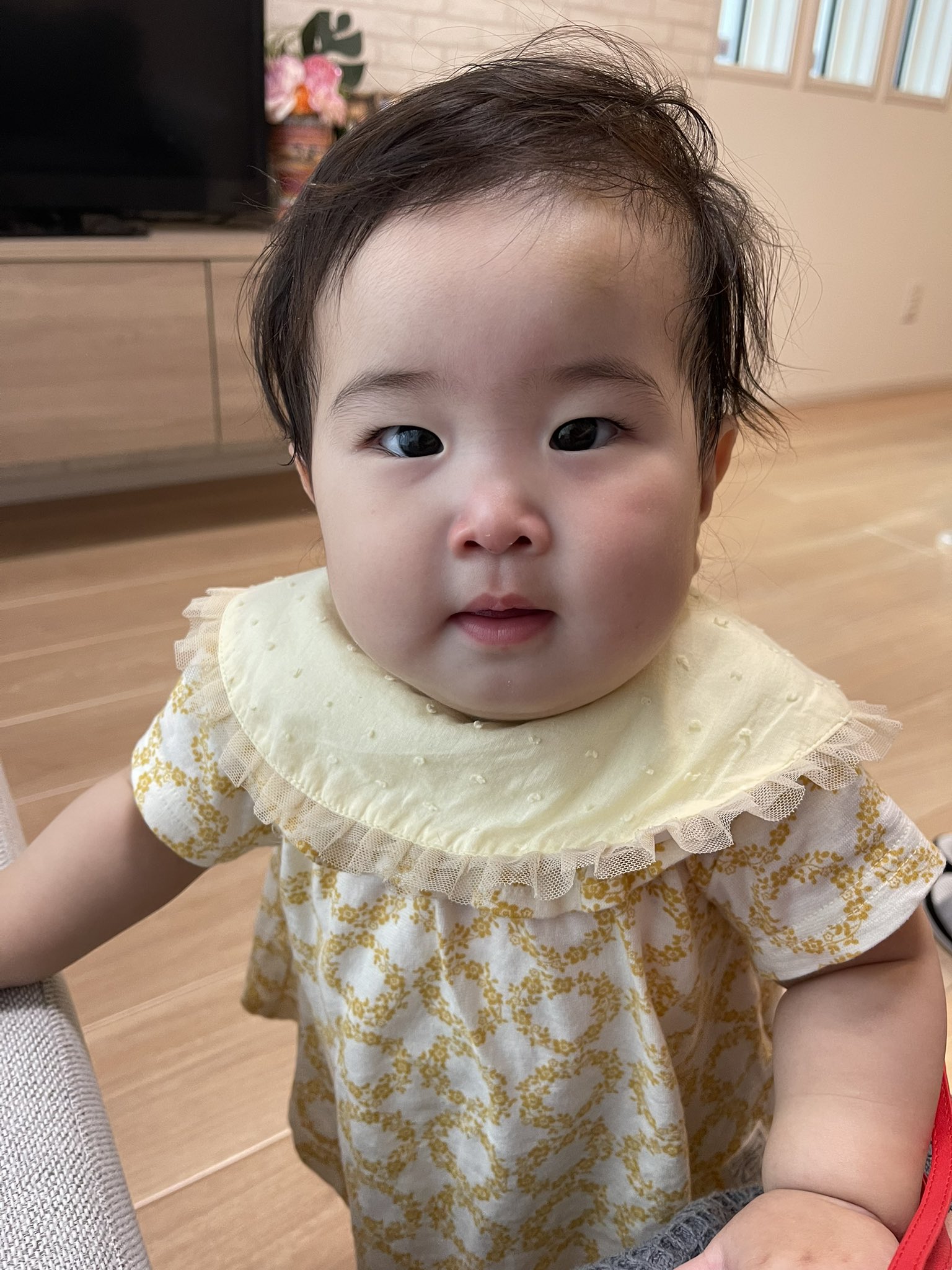 とんこっちゃん ふじ子 Tonkotufujiko Twitter
