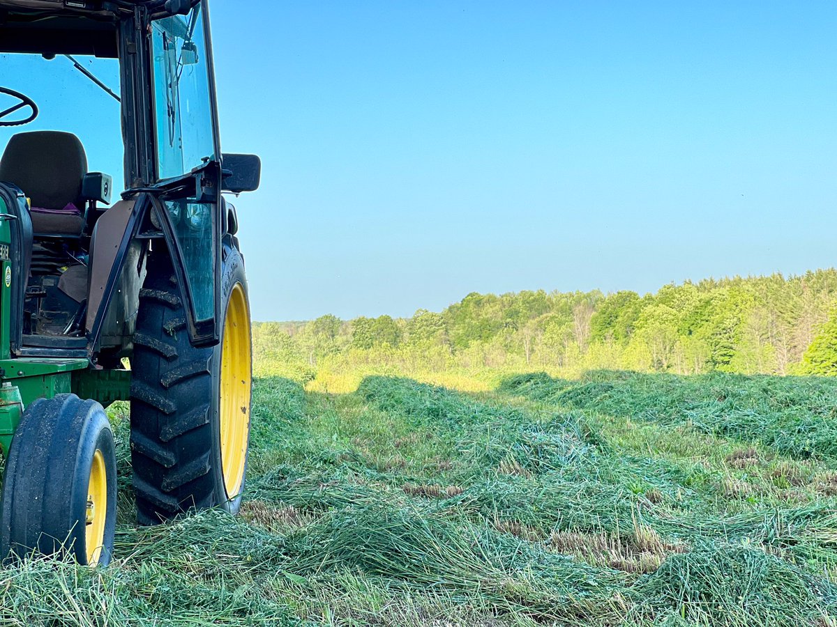 Joining the #hay22 club! Knocked down some awesome 2nd year <a href="/speareseeds/">Speare Seeds</a> 1st cut this weekend. 190 bales off 20 acres might be one of the best 1st cuts I’ve had! Thanks for the support <a href="/sprucedaleag/">Sprucedale Agromart Ltd.</a> #ontag #cowchow #happycows #brendaleacres #blessed
