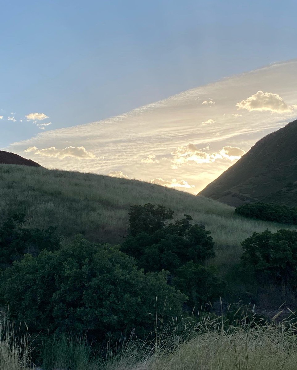 Aaron Leifer tweet media