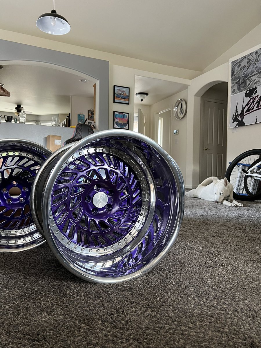 illegalharrison's tweet photo. Built these thicc boys for @rogerochoa96 today. Luna is a great supervisor but kind of a bitch https://t.co/e5aQWkXg1r