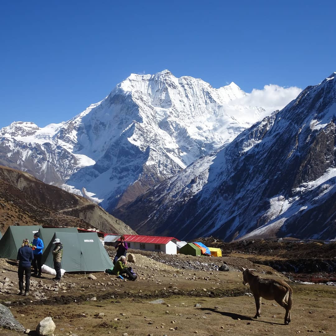 AFTreks's tweet photo. Manaslu Circuit Trek in Pictures π.
One of the most stunning, offbeat and visually diverse and beautiful tea house/lodge trekking in Nepal.
#Manaslu #TsumValley #LarkeLa #Samagaon #Samdo #Dharmsala #Bhimthang #Gorkha #ManasluTrek #Nepal #Trekking #Hiking #Adventure #NepalNow https://t.co/AA6I2JLskH