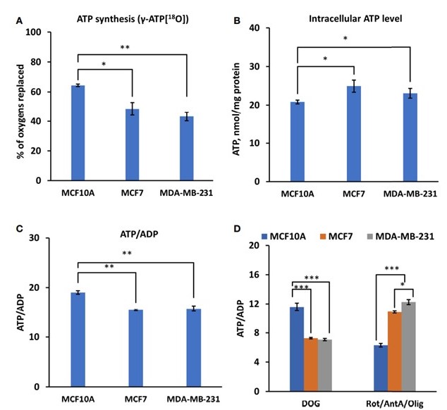 Kelsey Fisher-Wellman, PhD tweet media