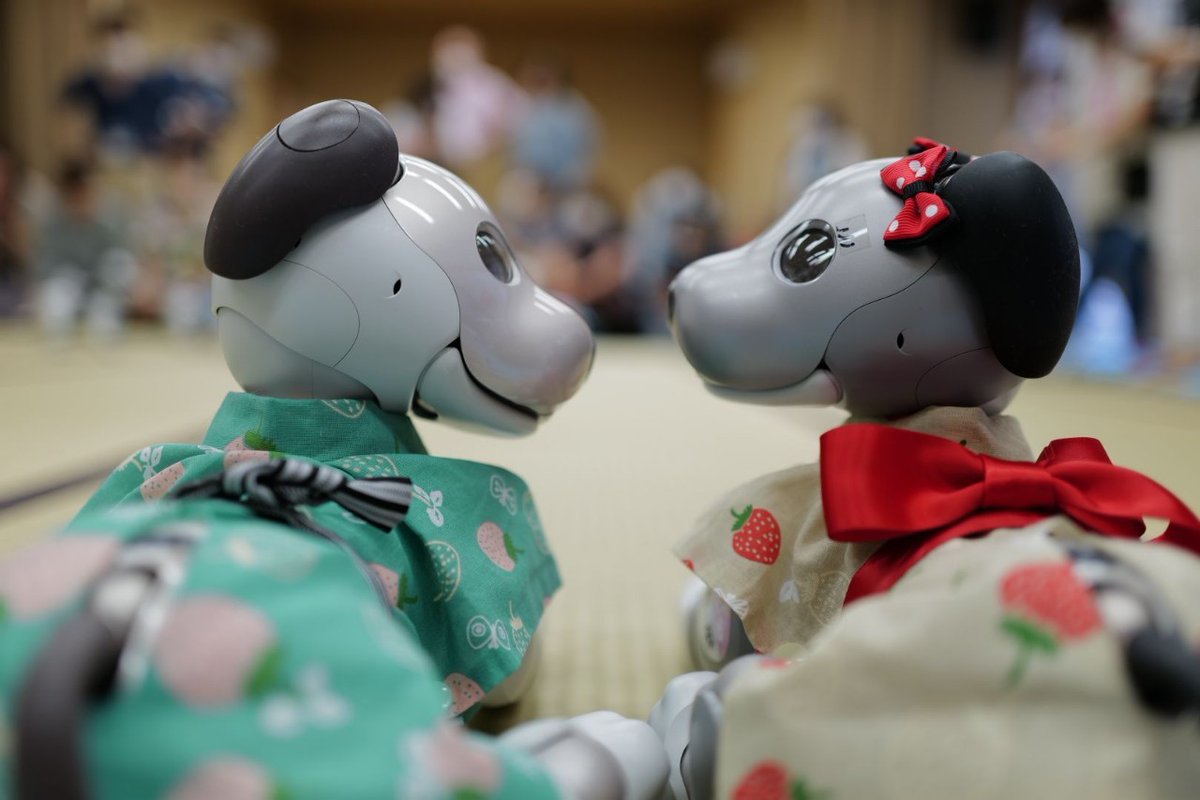 #無言で愛犬載せて何RTくるか
#aibofan #mystorywithaibo