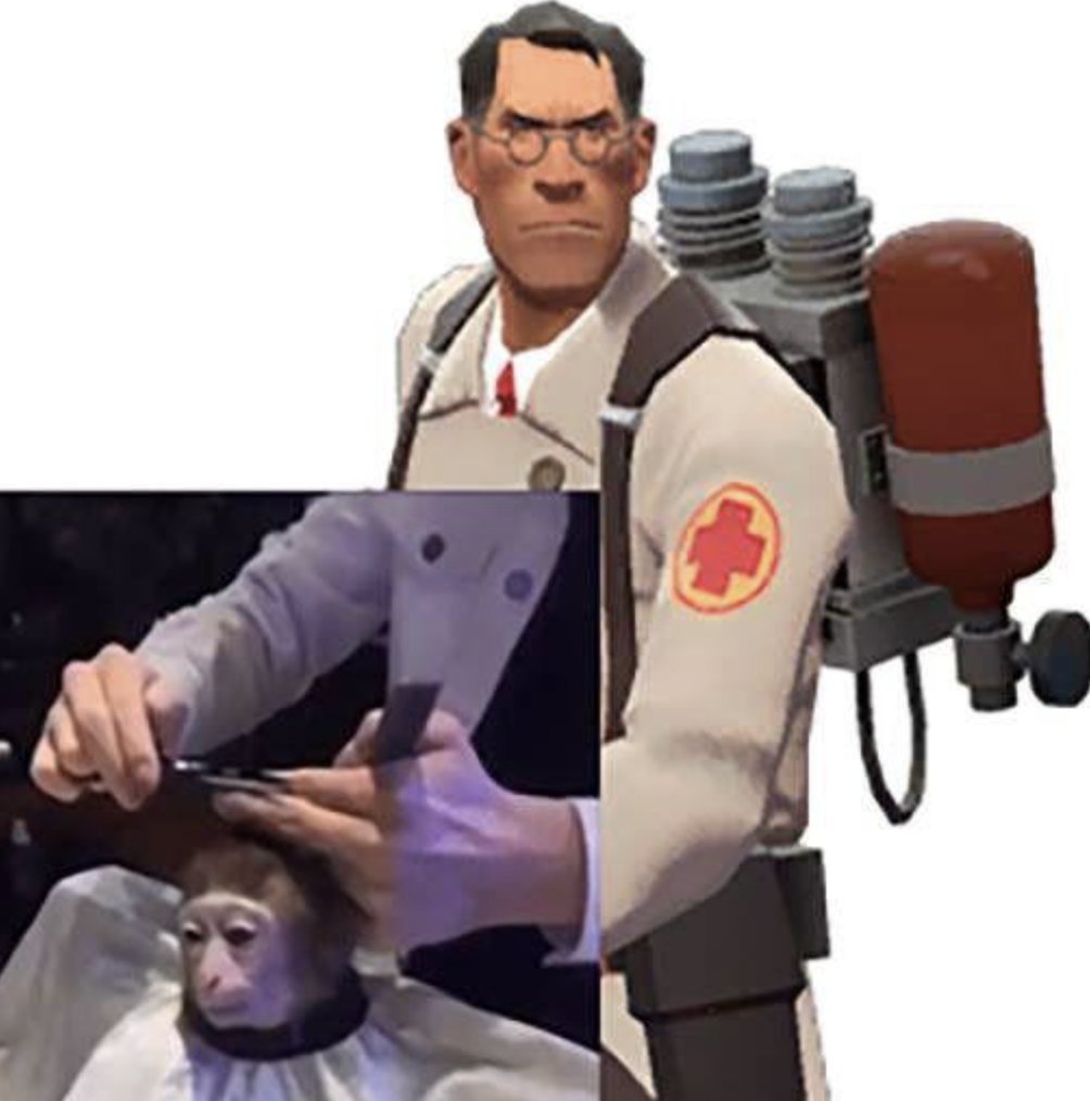 RespectfulMemes's tweet photo. https://t.co/JTvwWfof3E