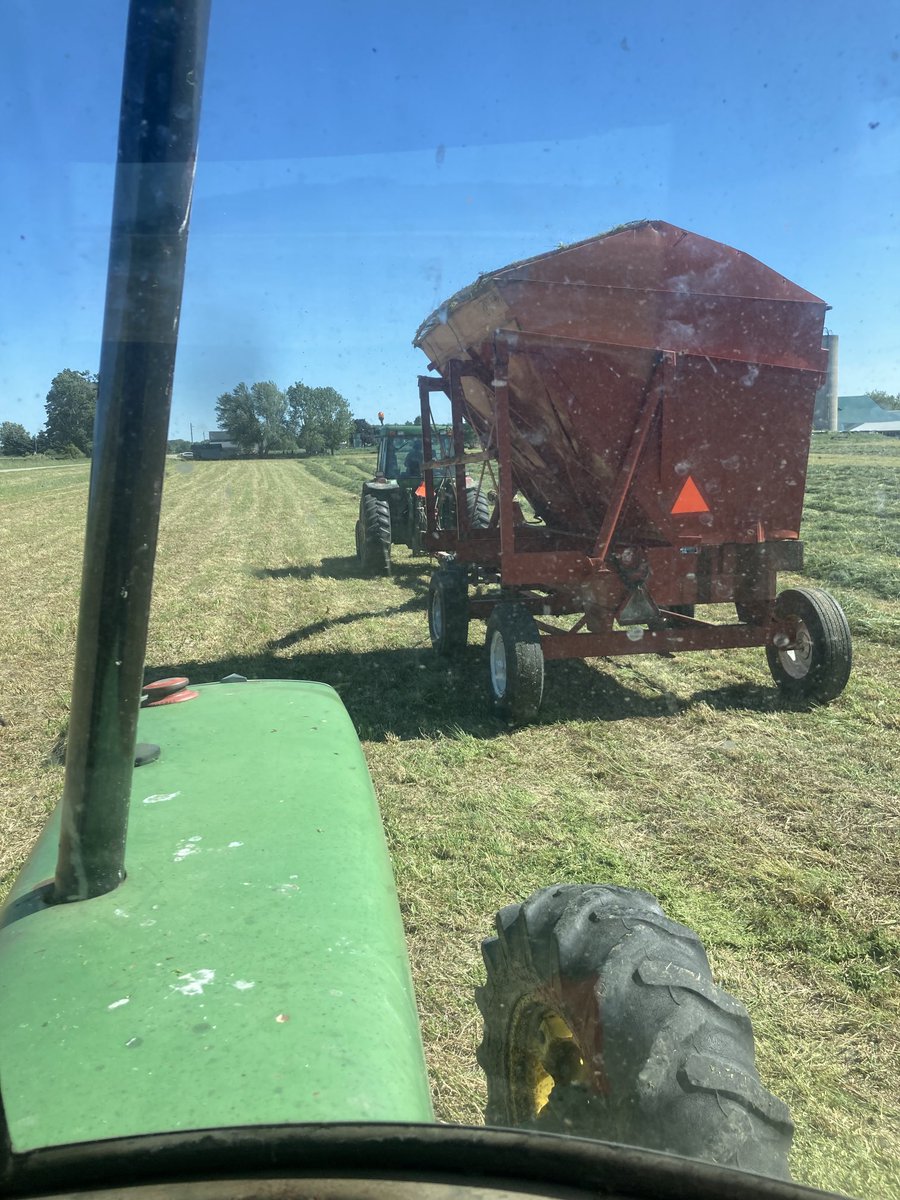 Thomas Lennox tweet media