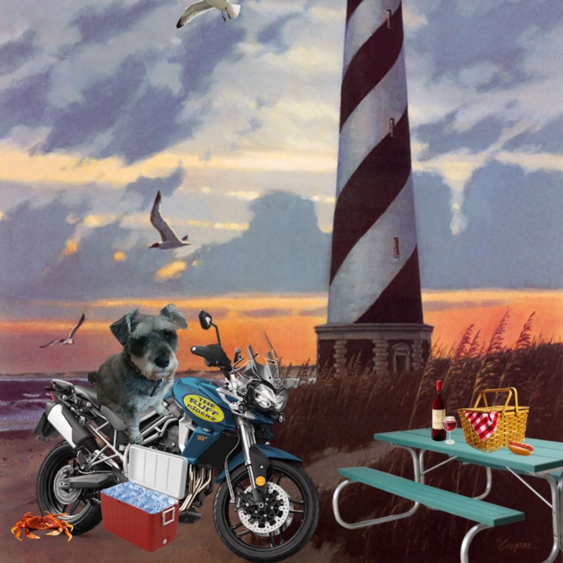 New Profile Picture! #ZSHQ #theruffriderz #schnauzergang