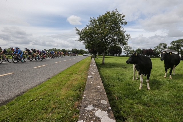 FBD Insurance tweet media