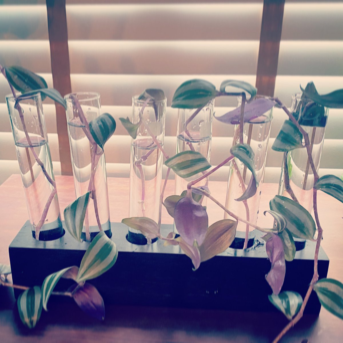 Someone got a hair cut.