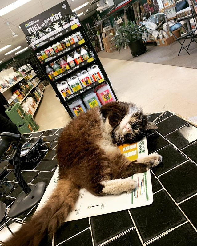 General Hydroponics tweet media