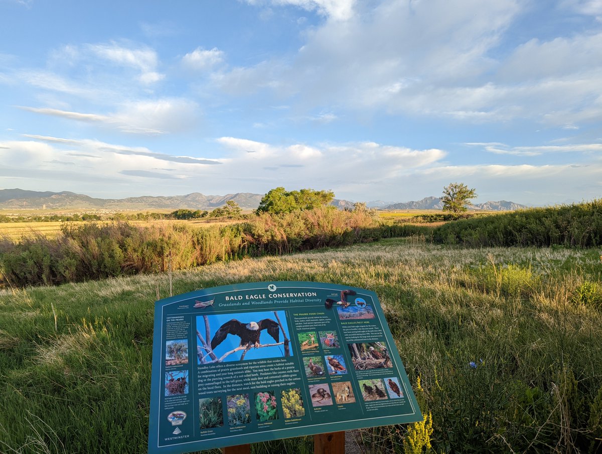 hikeover40's tweet photo. Good morning at the Standley Lake North Trail!  Plenty of birds, prairie dogs, and bees, but martinis are off-limits! https://t.co/HwAtcYVzyN