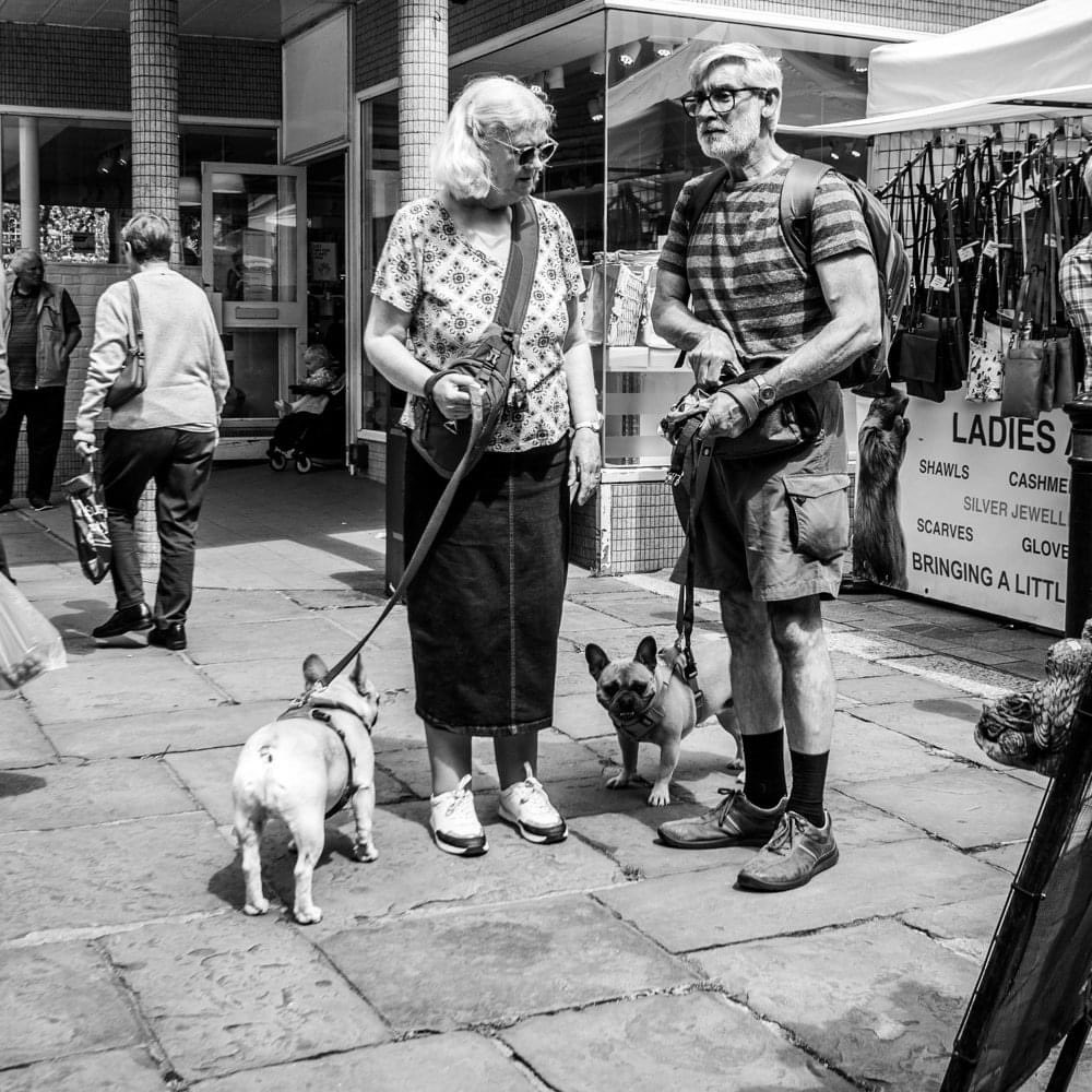 barrowlane's tweet photo. Couple - #streetphotography #streetdogs #steetstyle #salisbury https://t.co/Mm97Qr1wnx
