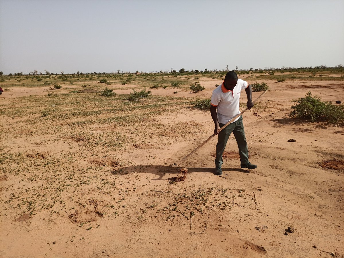 Choix d'agir avec son cœur, son âme, sa tête et ses membres. 
Si les critiques seules suffisaient pour développer un pays, nous aurions été premier dans les indices de classement.
La terre nous appelle.
#Agissons.