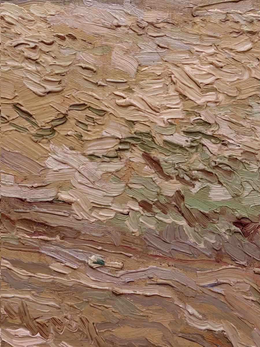 rosapasteel_'s tweet photo. Van Gogh painting details 🤍
#VanGogh #VanGoghMuseum https://t.co/PKIbS1AWST