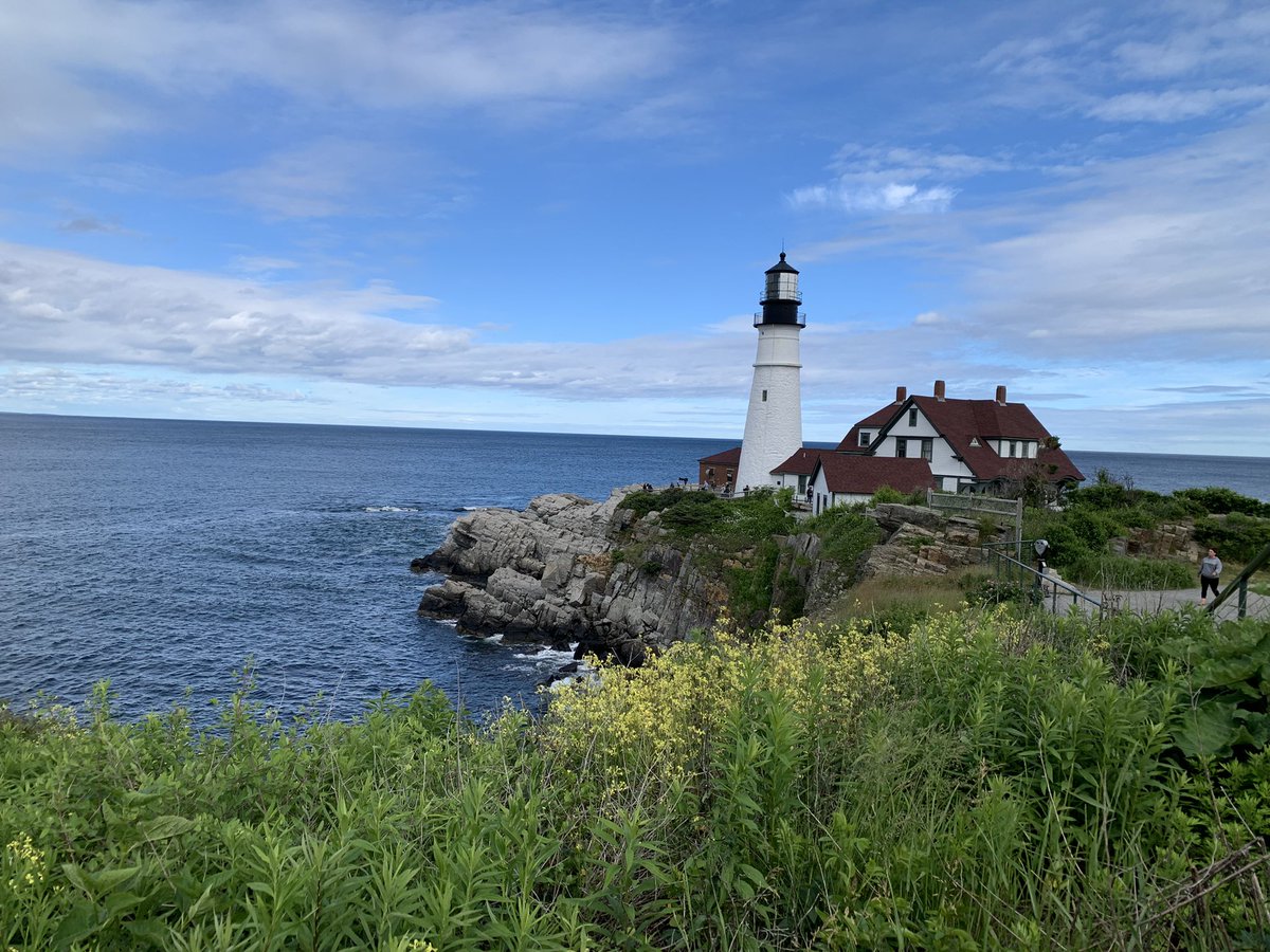 kaurie 🦦 tweet media