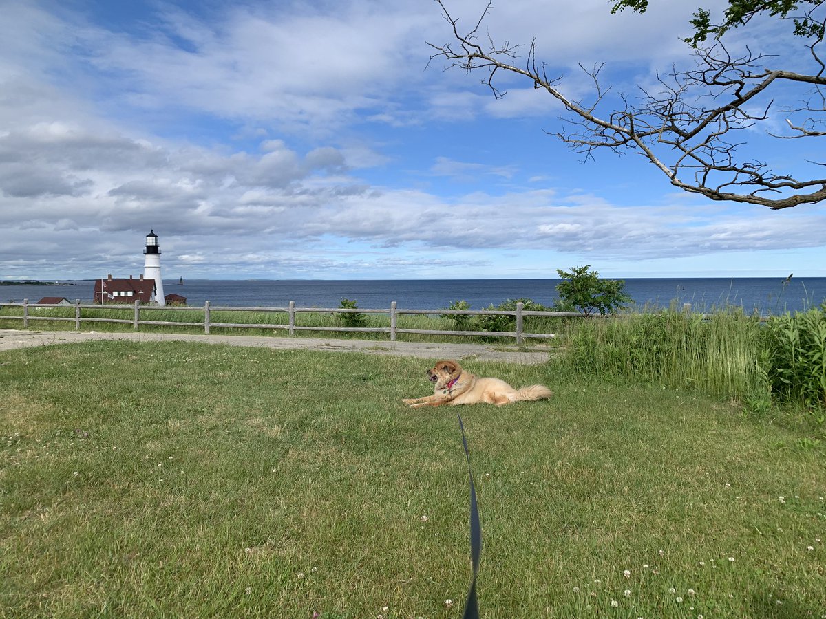 kaurie 🦦 tweet media