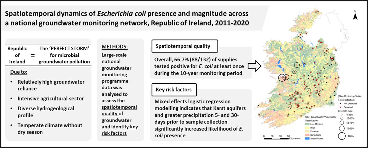 Our latest groundwater quality article is now available in STOTEN.

We analysed the EPA groundwater monitoring dataset.

E. coli was detected in 66.7% (88/132) of supplies (used for human consumption) at least once over the 10 year monitoring period! 
 sciencedirect.com/science/articl…