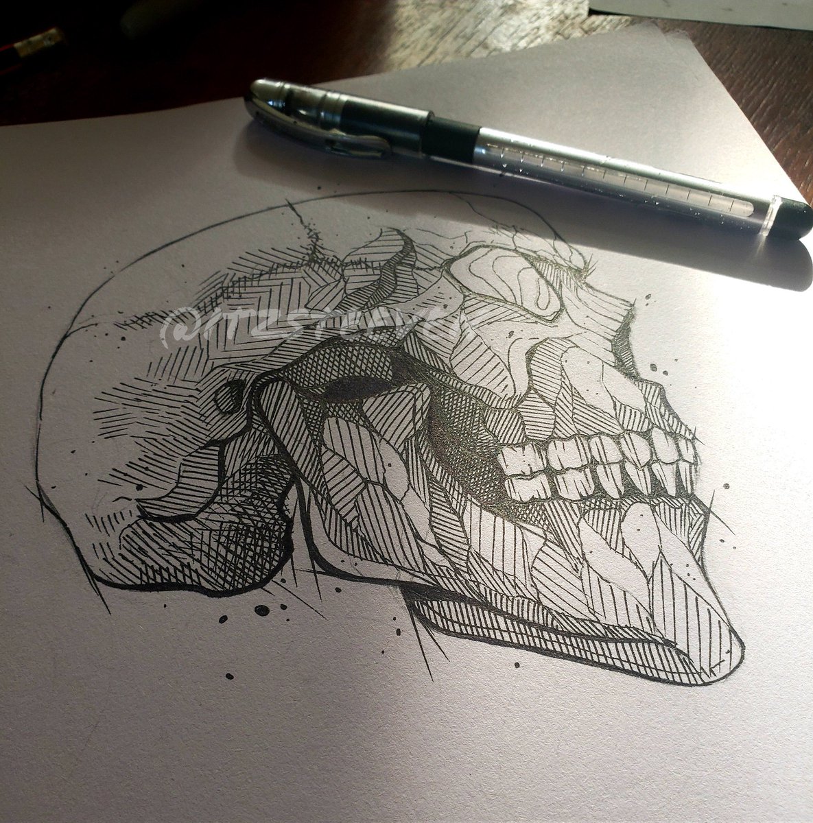 ItzSteeven's tweet photo. I made a quick ink drawing cause I was bored, man I really like drawing skulls #inkdrawing #traditionalart https://t.co/hOfBXHGFzo
