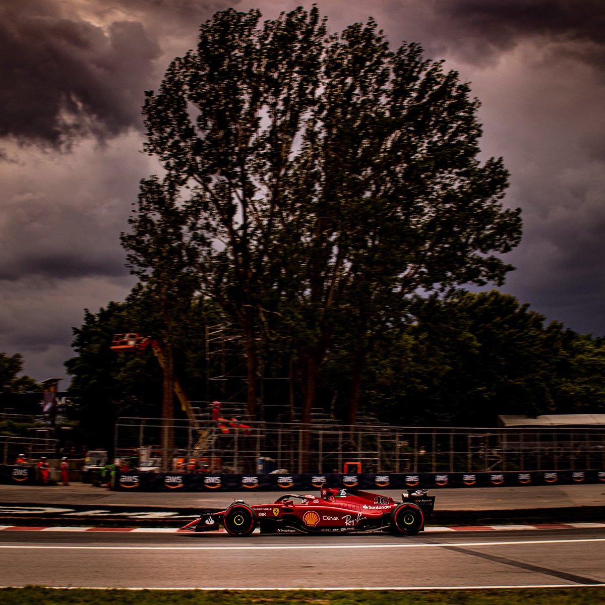 Charles Leclerc tweet media