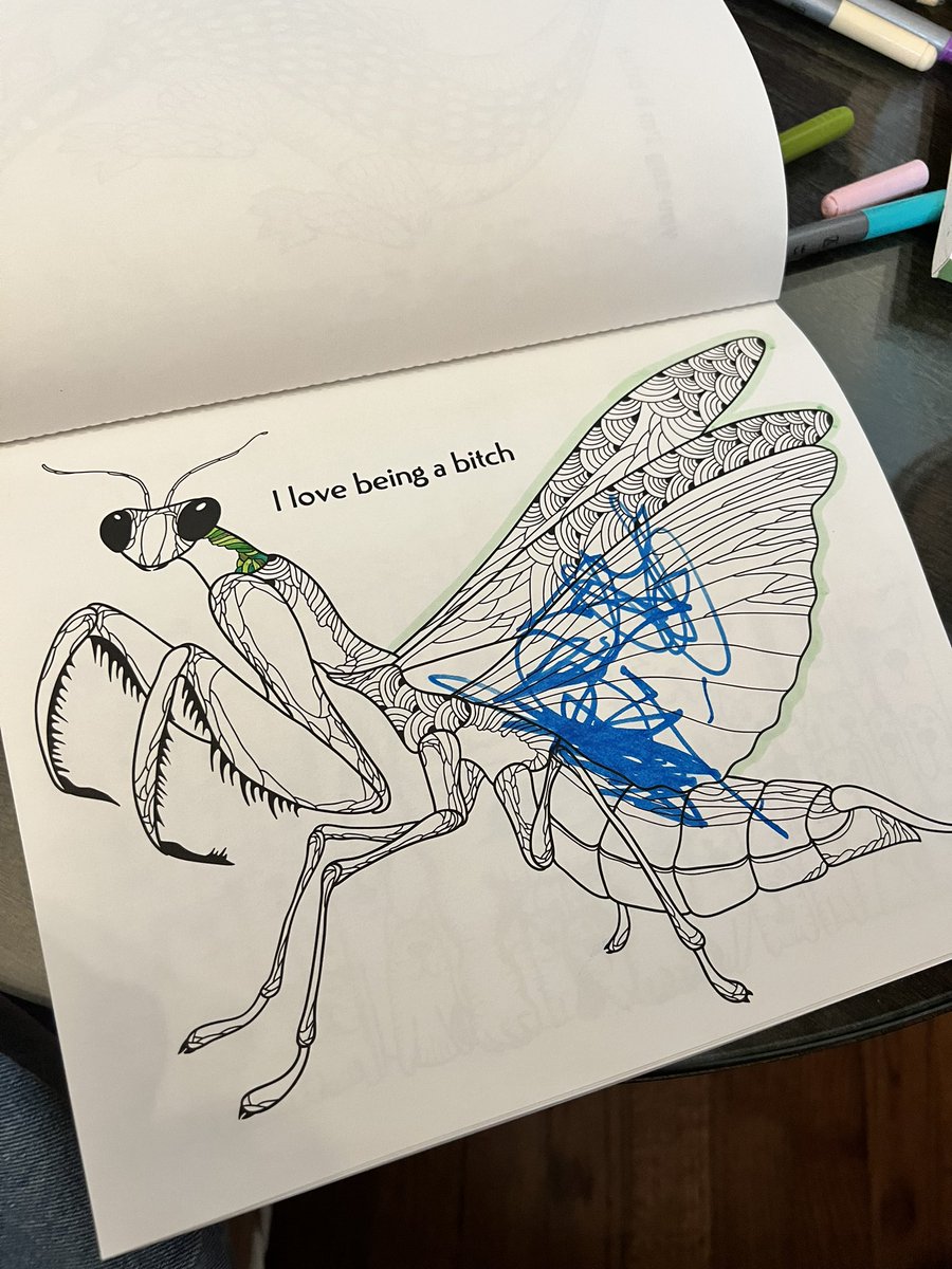 MaddieM's tweet image. I walk over to see what the little cousins are doing...