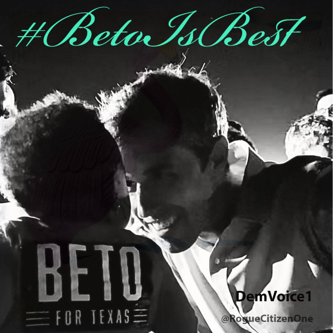 RogueCitizenOne's tweet photo. @tizzywoman #BetoIsBest https://t.co/PQITAArDot