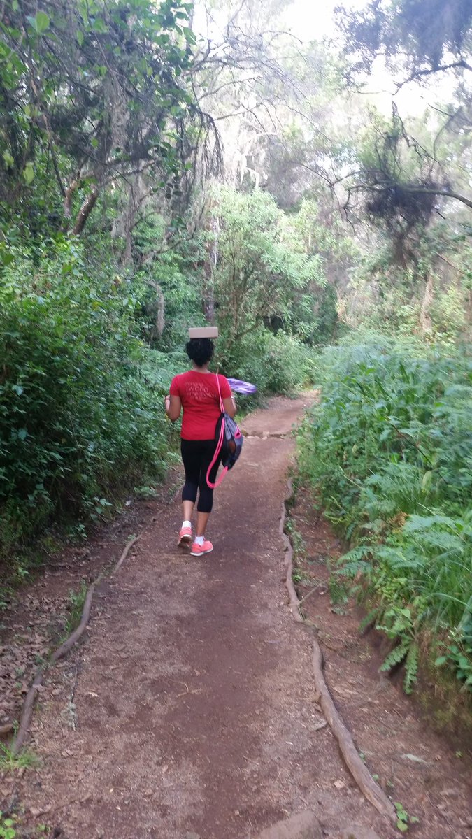 thePolymart's tweet photo. jusBOOST 💝 aferCARE... segment #12: cultural + CARE revolution w/GirlTrek🚶🏾‍♀️- https://t.co/bEfXFgnW0M https://t.co/U7sOsnlc45