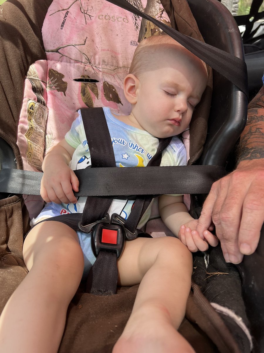 Kirby98tj's tweet photo. Kirby babysitting service #jeepgirl #sleepy #princessmaya #lessthanaminute @THEJeepMafia https://t.co/7gp3HuqcOw
