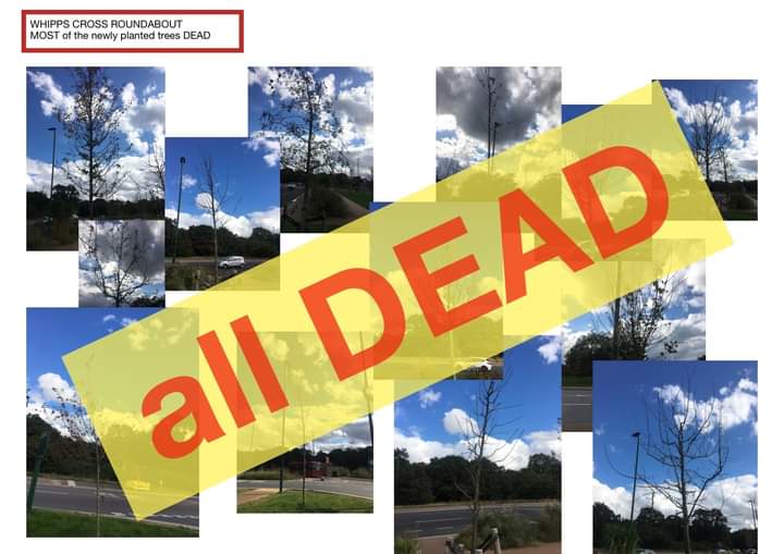 Community Before Construction tweet media