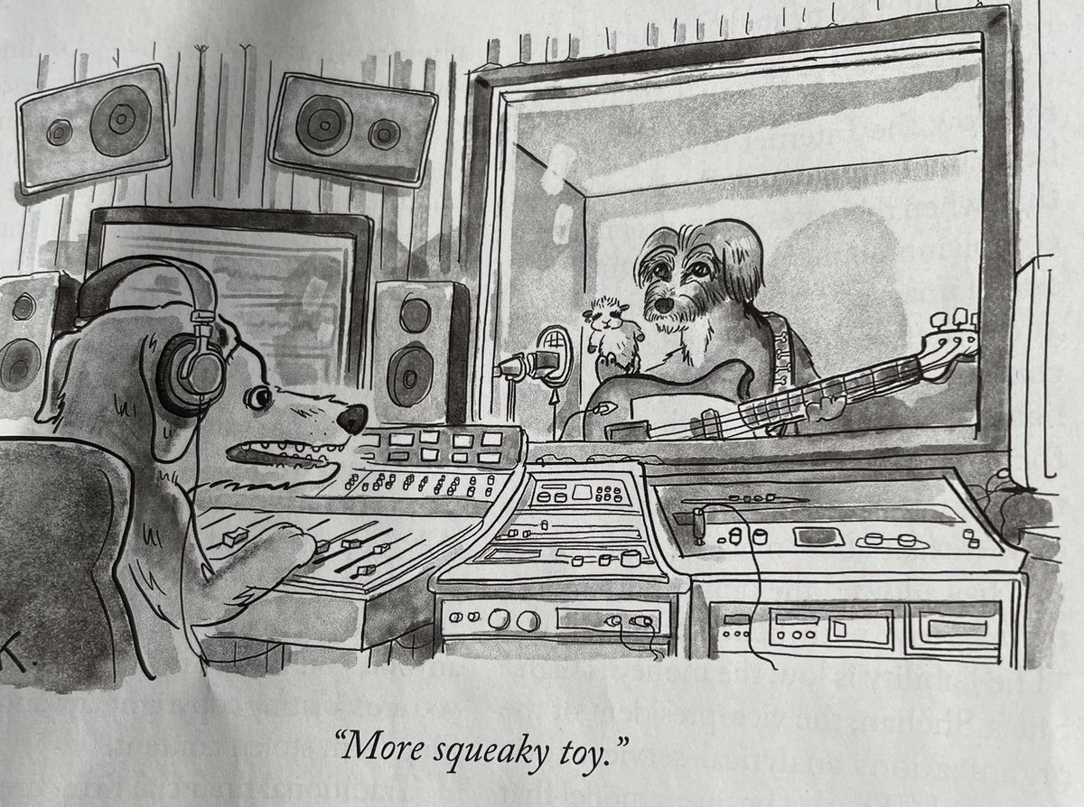 Zoe Camp tweet media