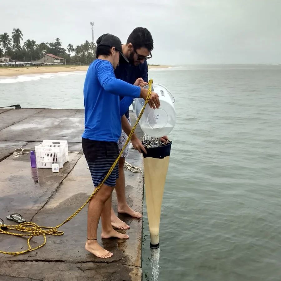 Peld Tams tweet media