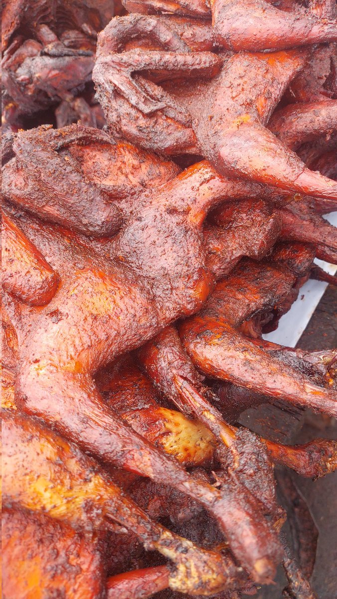 lizandbethfoods's tweet photo. Guineafowl would be going for 4500 instead of 5500 only for the #NIGHTMARKETWITHDAMMYB 
After tonight, we are back to normal price. 
Live guineafowl is 5000 instead of 6000. https://t.co/Ak8ykeKPtB