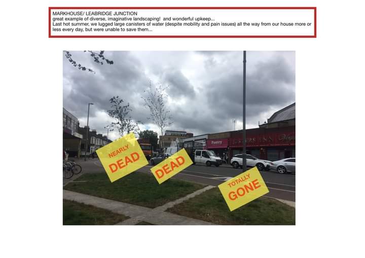 Community Before Construction tweet media